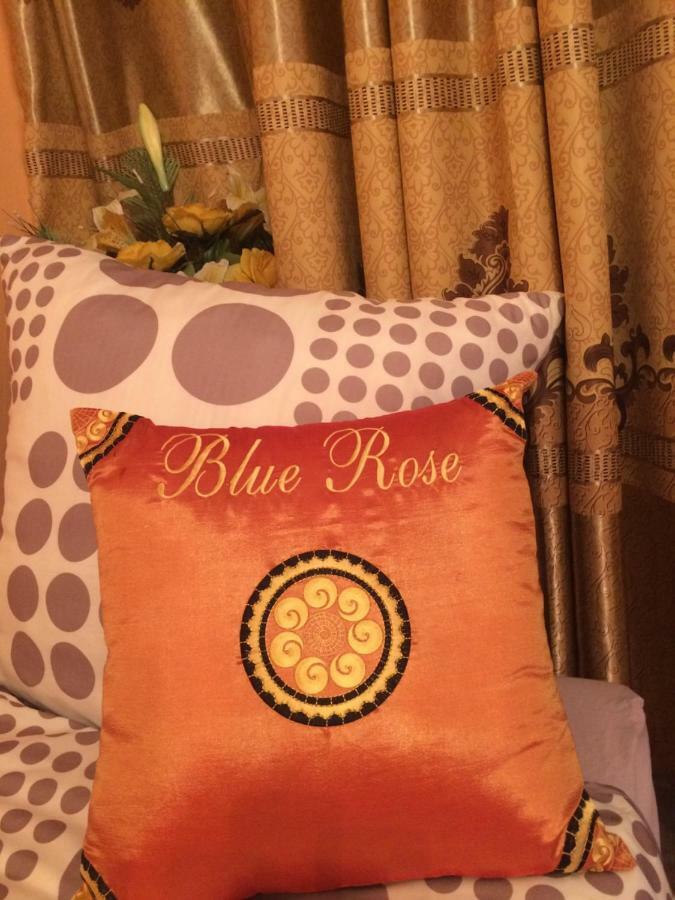 Blue Rose Apartman Karlovy Vary Exterior foto